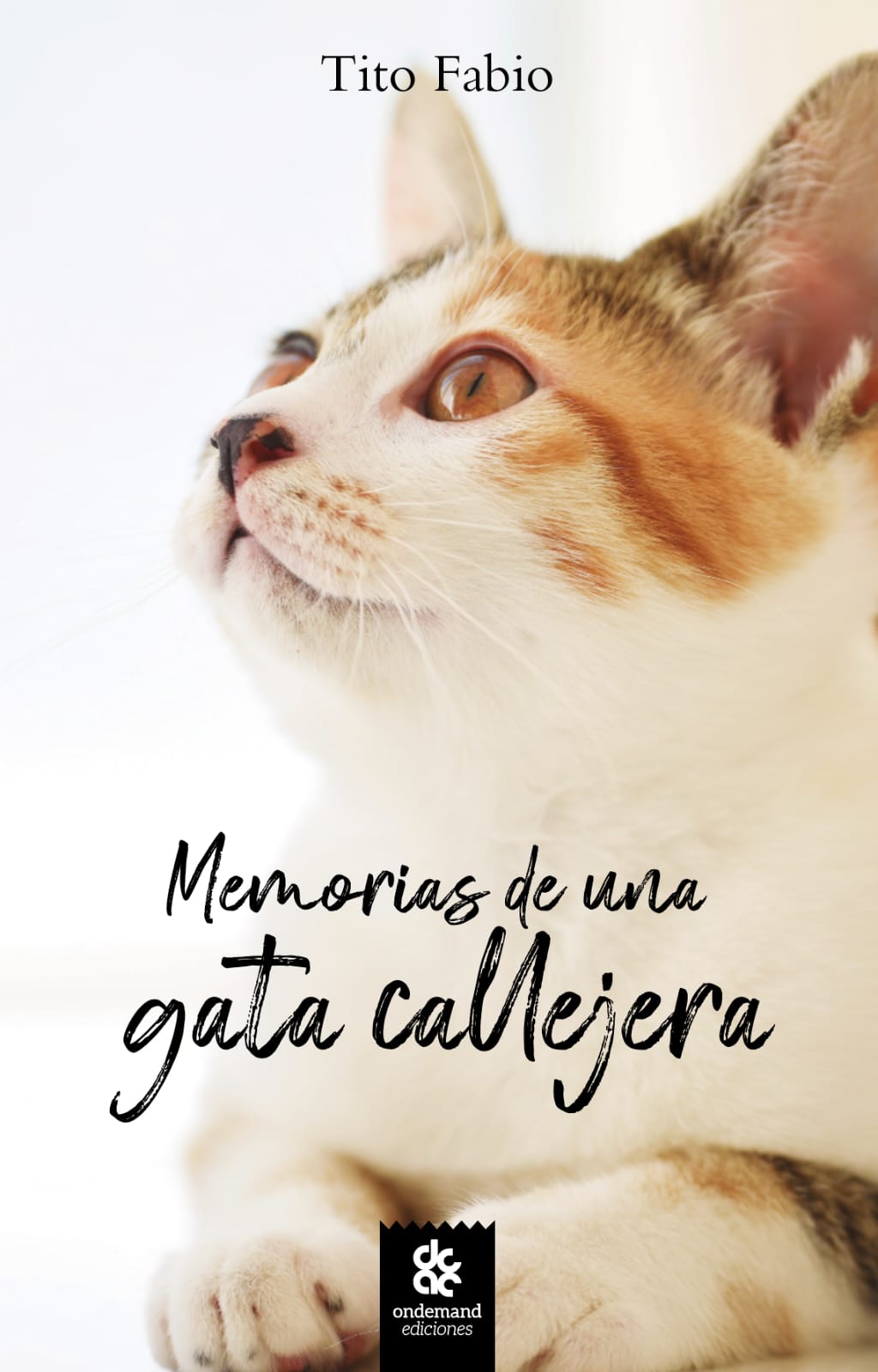MEMORIAS DE UNA GATA CALLEJERA